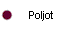  Poljot 