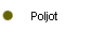  Poljot 